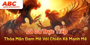 Đá Gà Trực Tiếp - Thỏa Mãn Đam Mê Với Chiến Kê Mạnh Mẽ